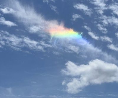 Mental Illness &&nbsp;Meghan